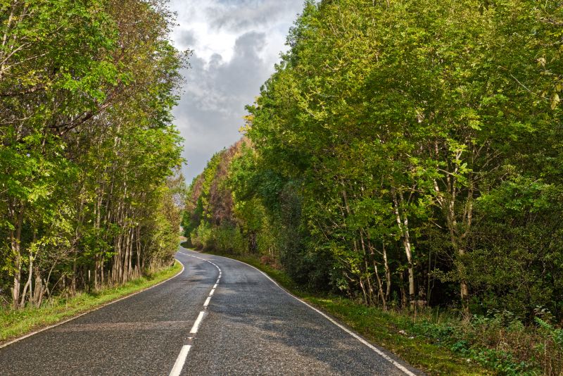 Tar And Chip Installation
